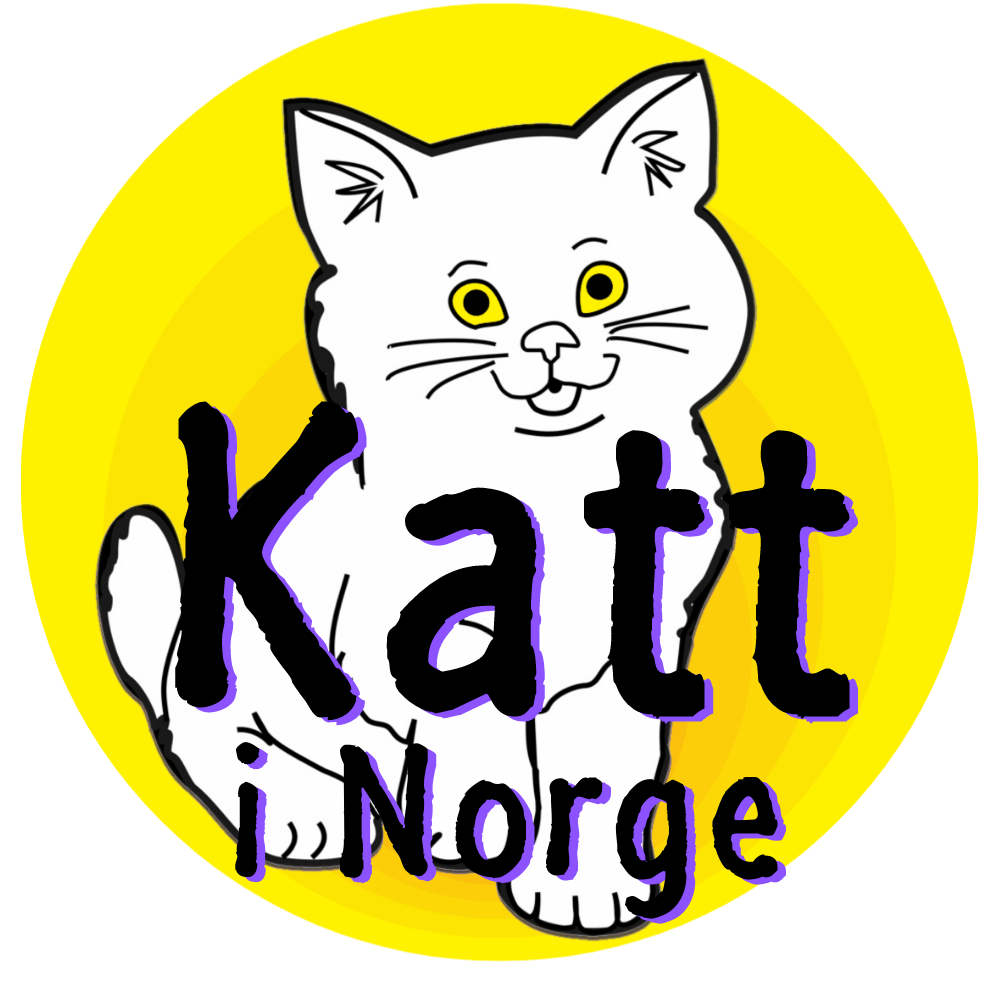 Omtale og erfaring med Katt i Norge
